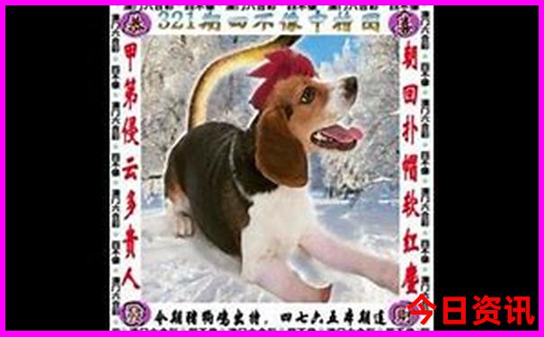 7，8月份适合去哪里旅游